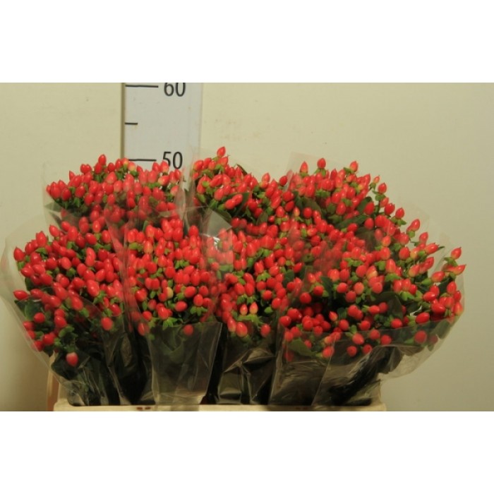 Секреты идеального осеннего букета  