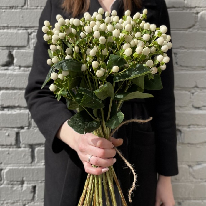 Гиперикум белый