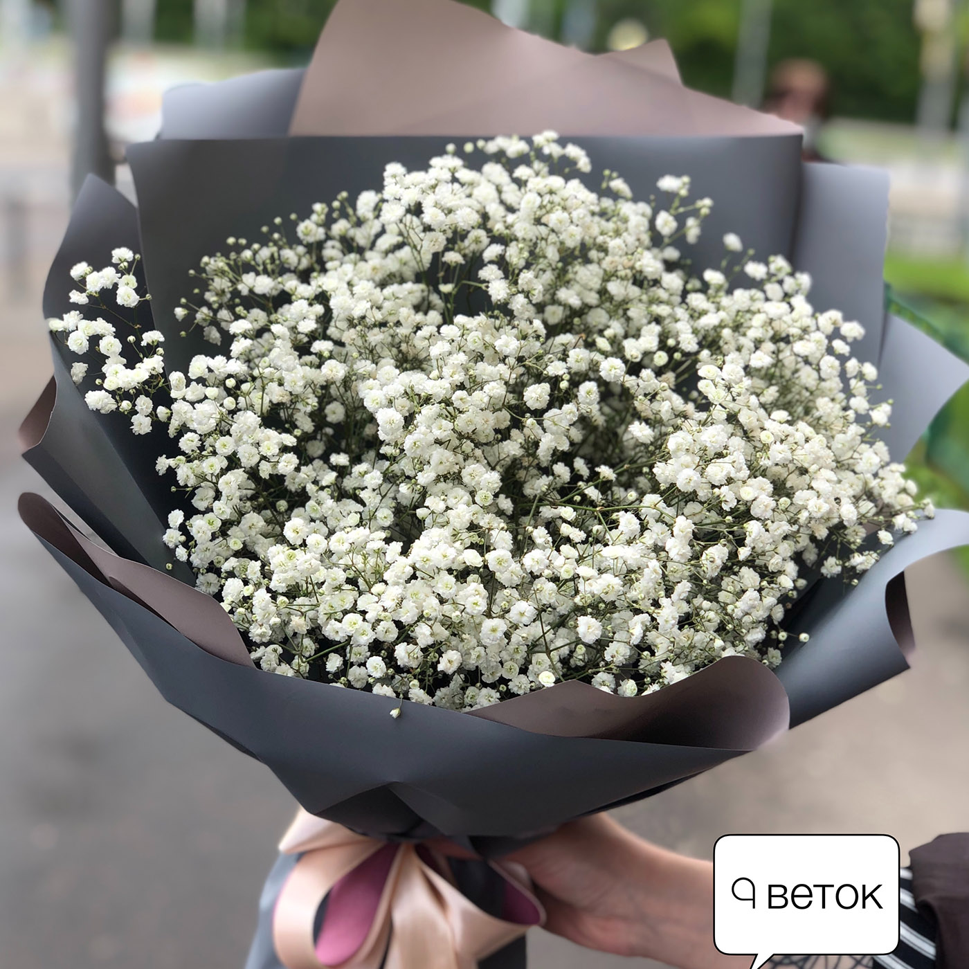 Купить цветы гипсофилы цена купить упаковки для цветов москва
