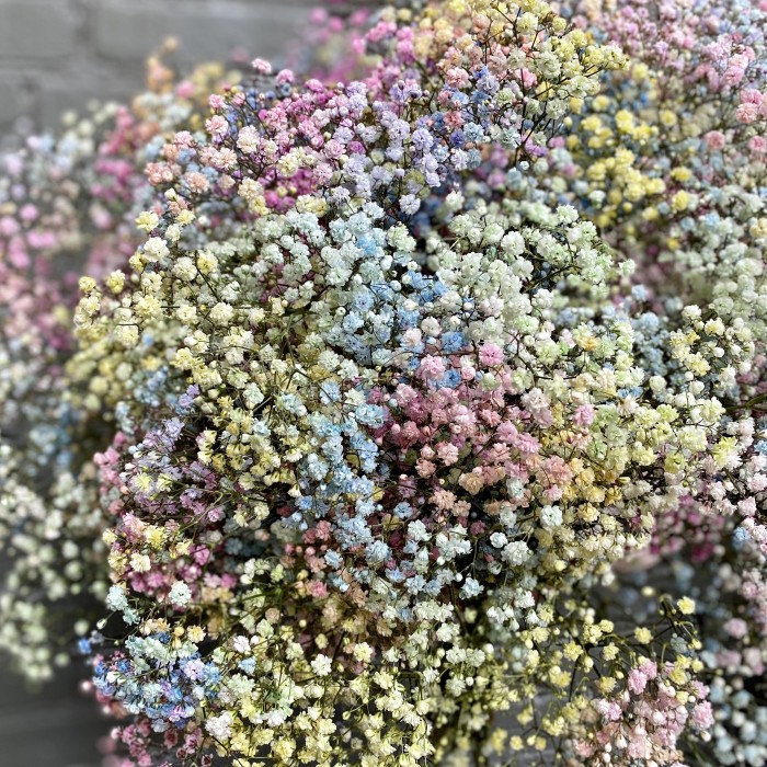 Букет из радужной гипсофилы