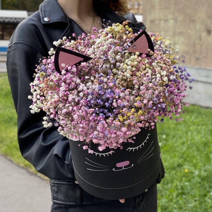 Коробка Кошечка с радужной гипсофилой