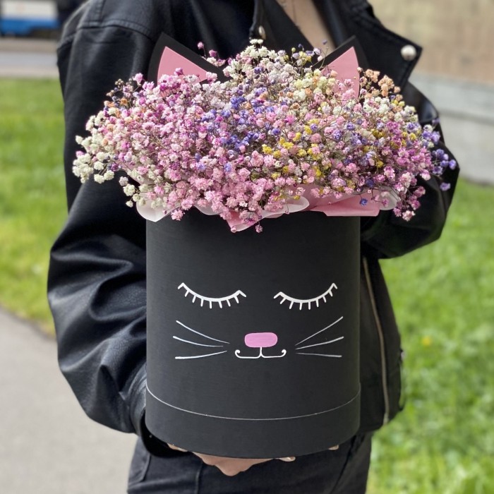 Коробка Кошечка с радужной гипсофилой