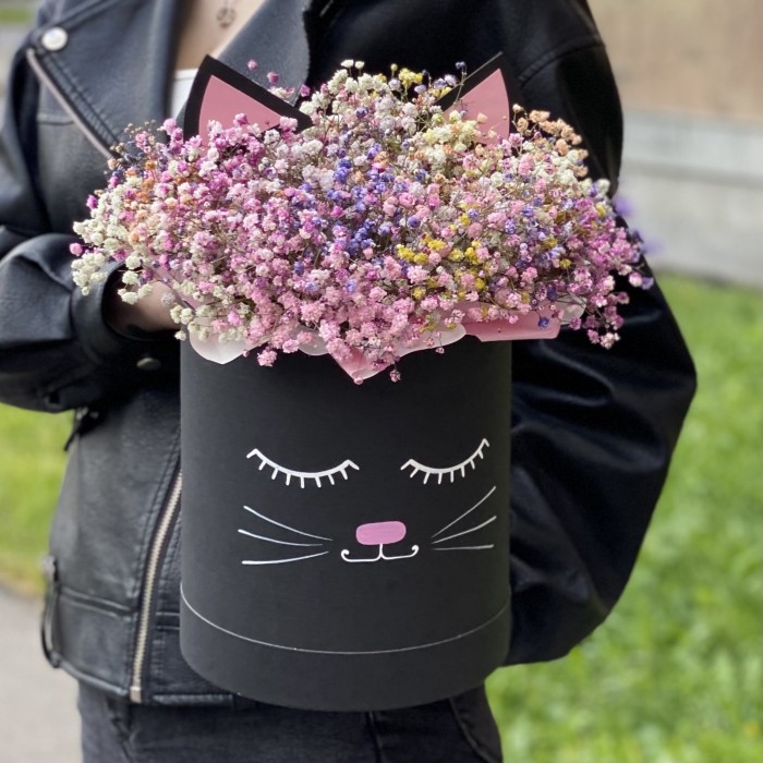 Коробка Кошечка с радужной гипсофилой