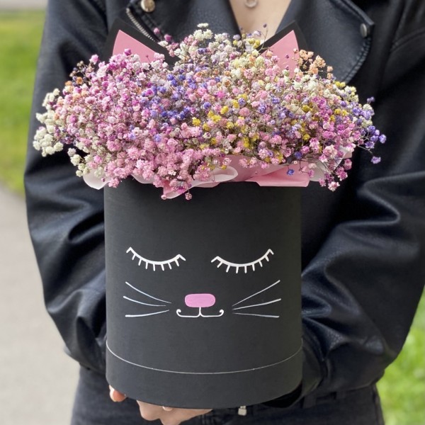 Коробка Кошечка с радужной гипсофилой