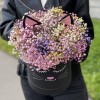 Коробка Кошечка с радужной гипсофилой
