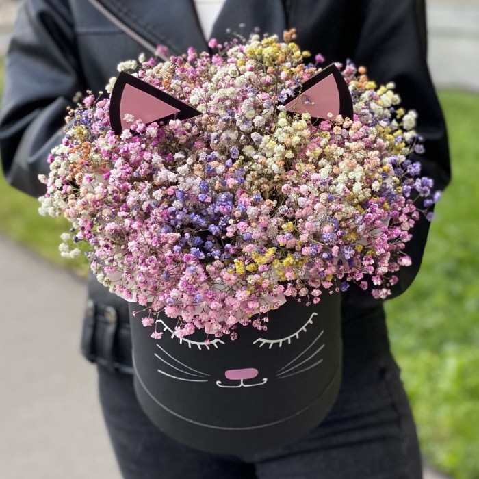 Коробка Кошечка с радужной гипсофилой