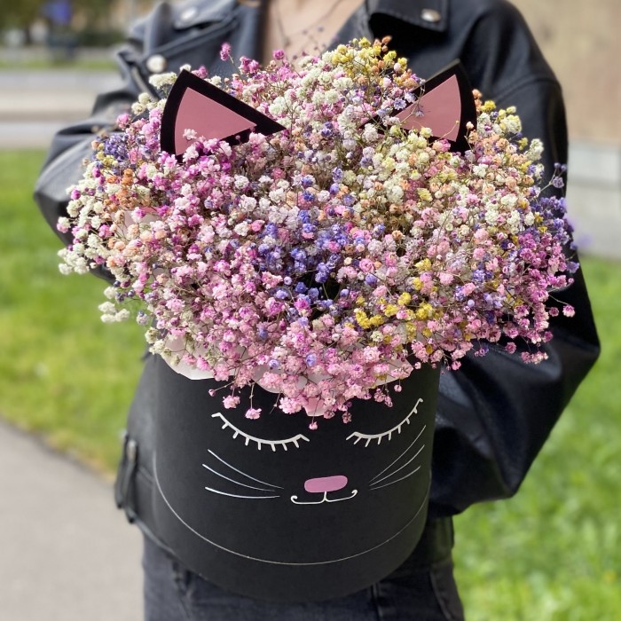 Коробка Кошечка с радужной гипсофилой