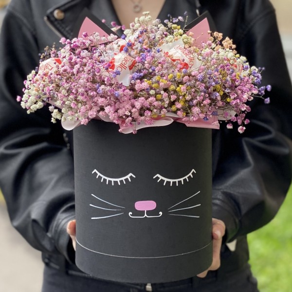 Радужная гипсофила в коробке Кошечка