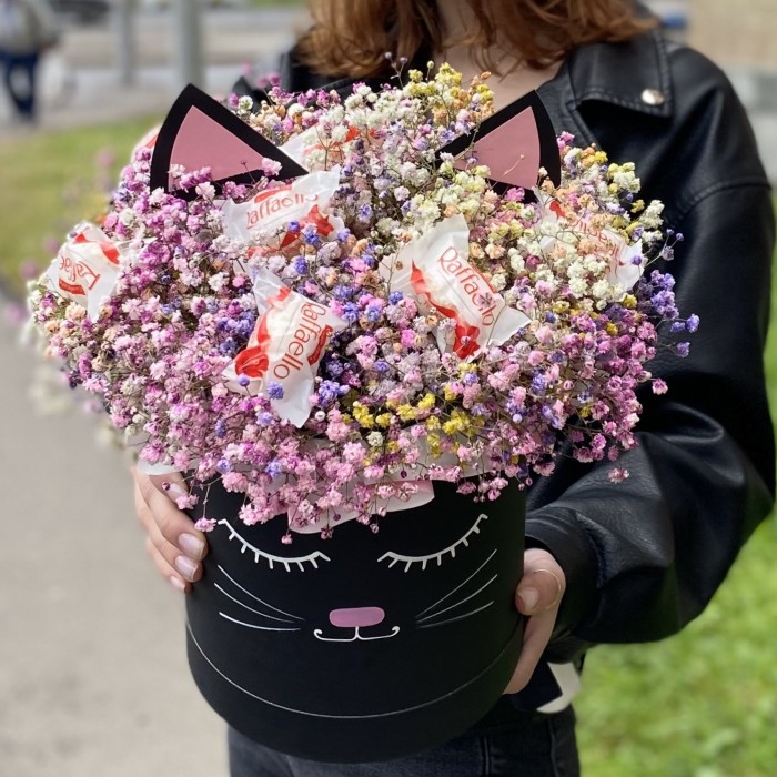 Радужная гипсофила в коробке Кошечка