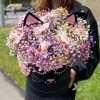 Радужная гипсофила в коробке Кошечка