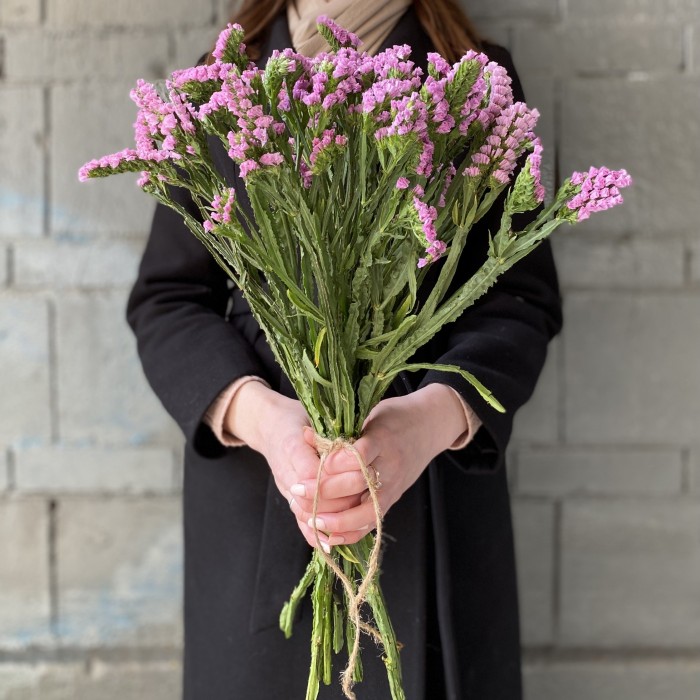 Статица розовая