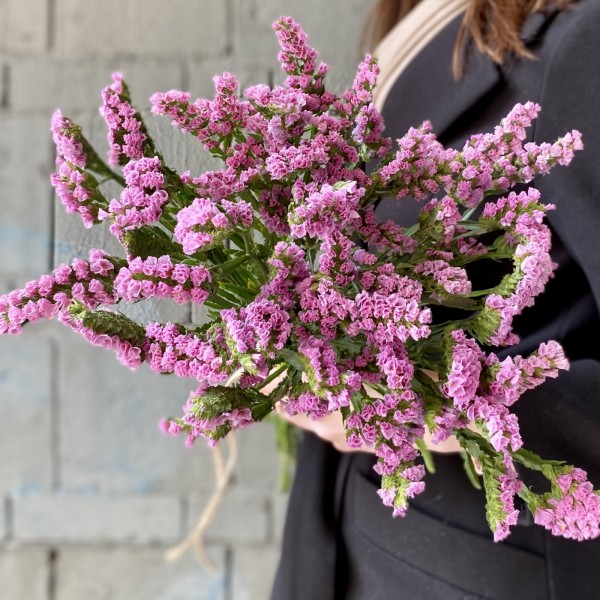 Статица розовая