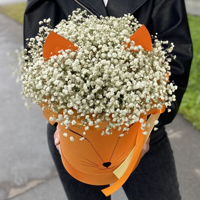 Белая гипсофила в коробке Лисичка