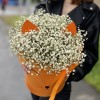 Белая гипсофила в коробке Лисичка
