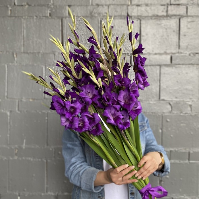 11 темно-фиолетовых гладиолусов