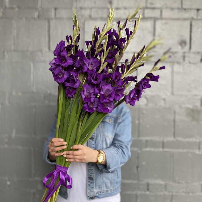 11 темно-фиолетовых гладиолусов