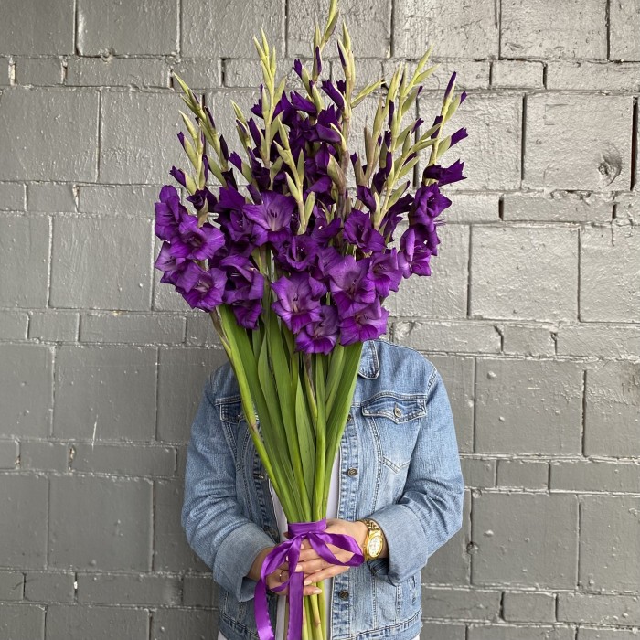 11 темно-фиолетовых гладиолусов