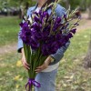 11 темно-фиолетовых гладиолусов