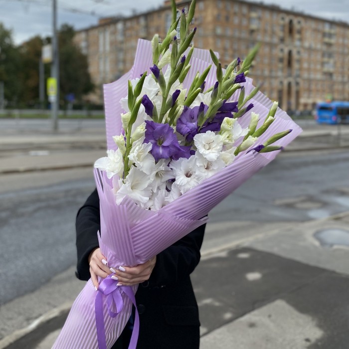 15 белых и фиолетовых гладиолусов