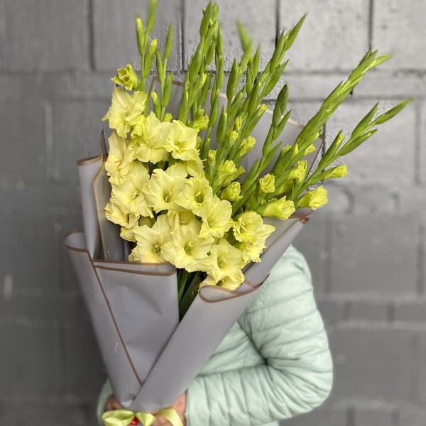 15 зеленых гладиолусов Рио