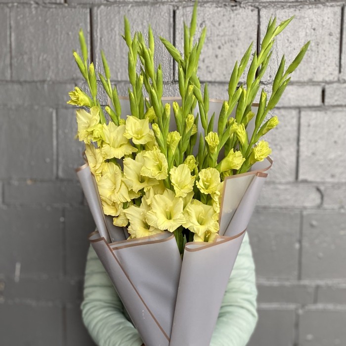 15 зеленых гладиолусов Рио