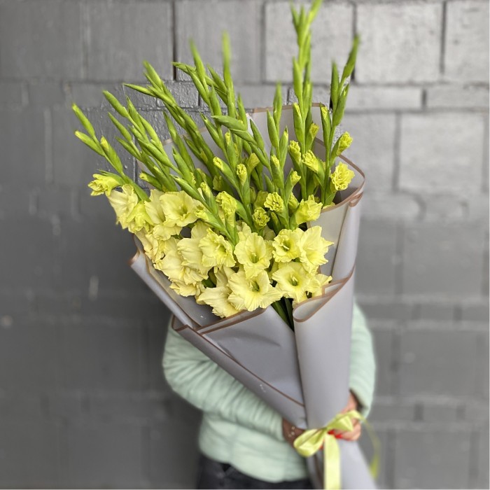 15 зеленых гладиолусов Рио