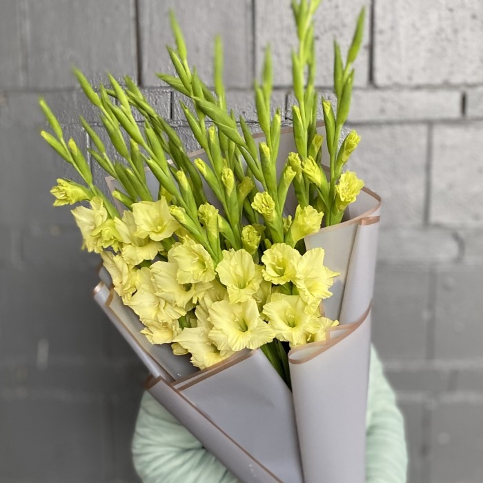 15 зеленых гладиолусов Рио