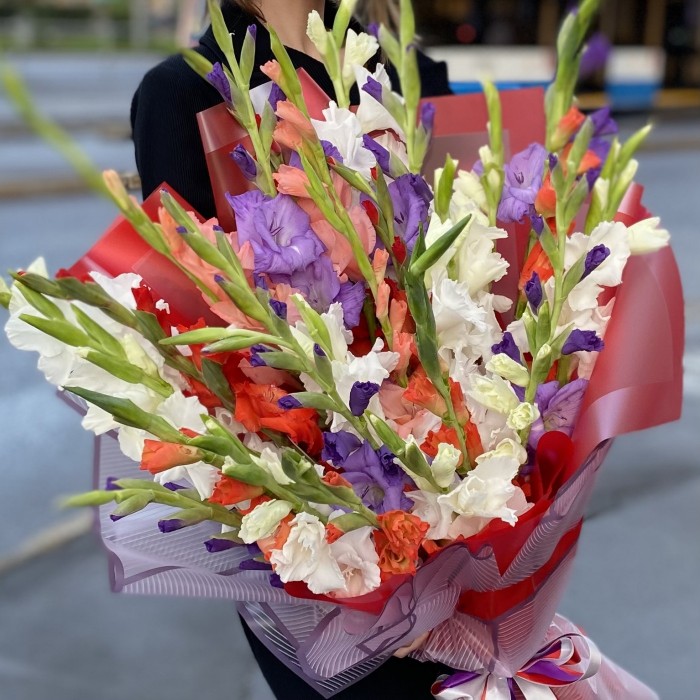 25 гладиолусов яркий микс