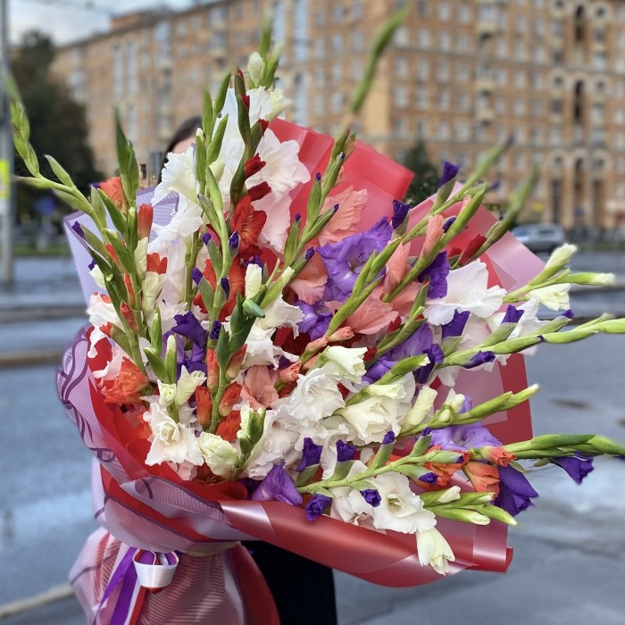 25 гладиолусов яркий микс