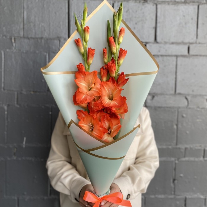 3 коралловых гладиолуса