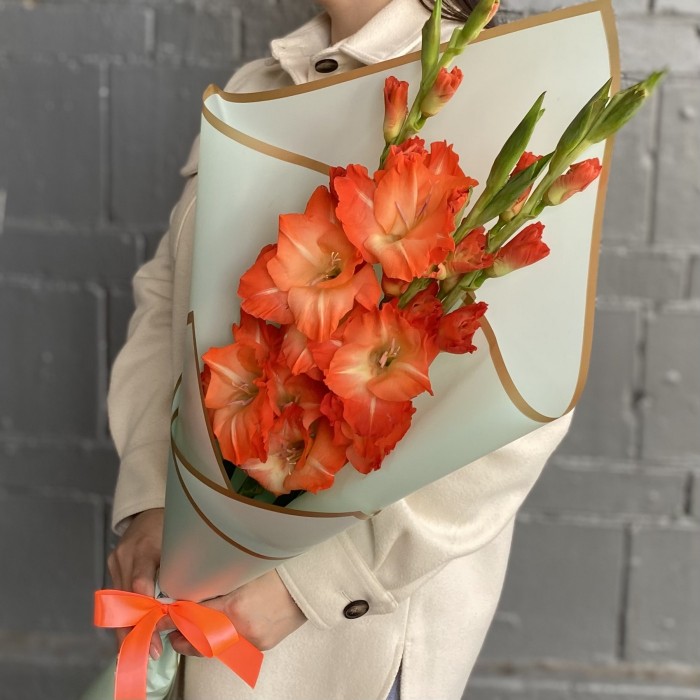 3 коралловых гладиолуса