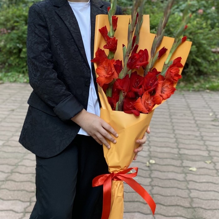 5 красных гладиолусов