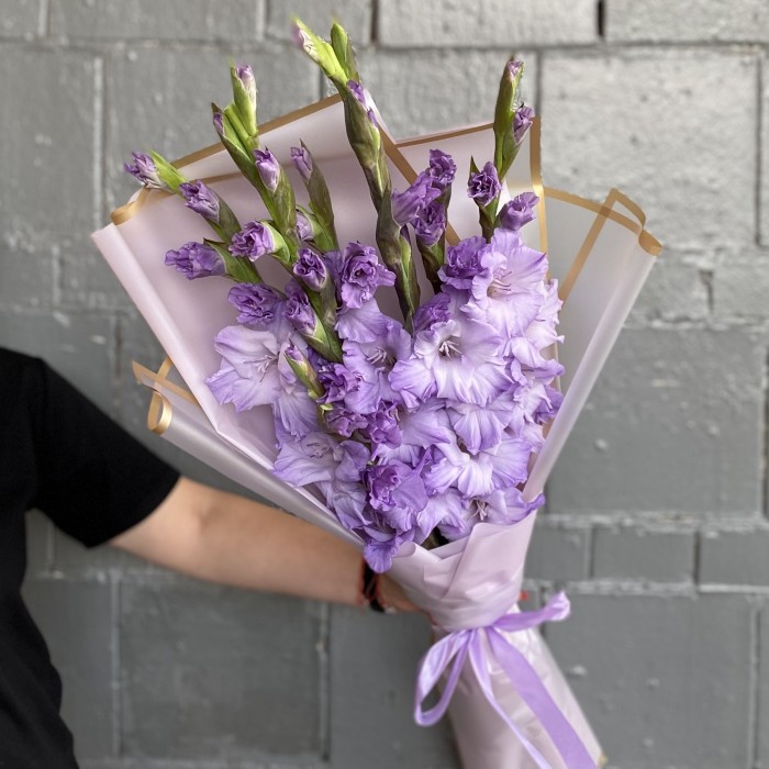 7 фиолетовых гладиолусов