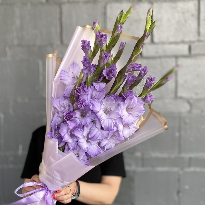 7 фиолетовых гладиолусов