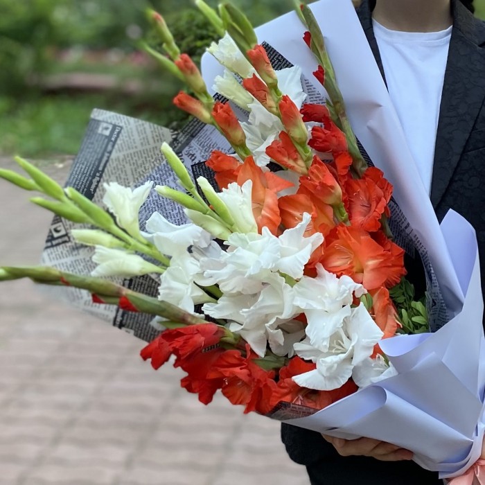 7 гладиолусов Яркий микс