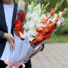7 гладиолусов Яркий микс