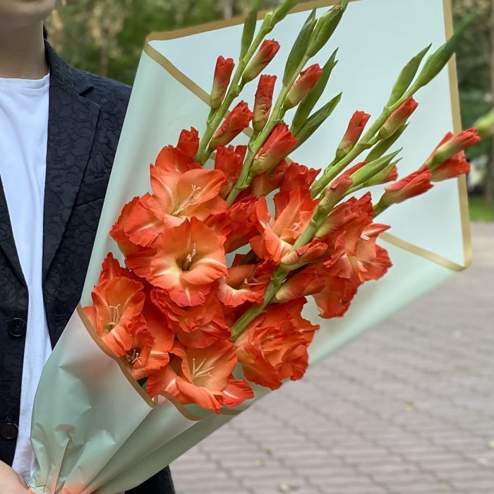 7 коралловых гладиолусов