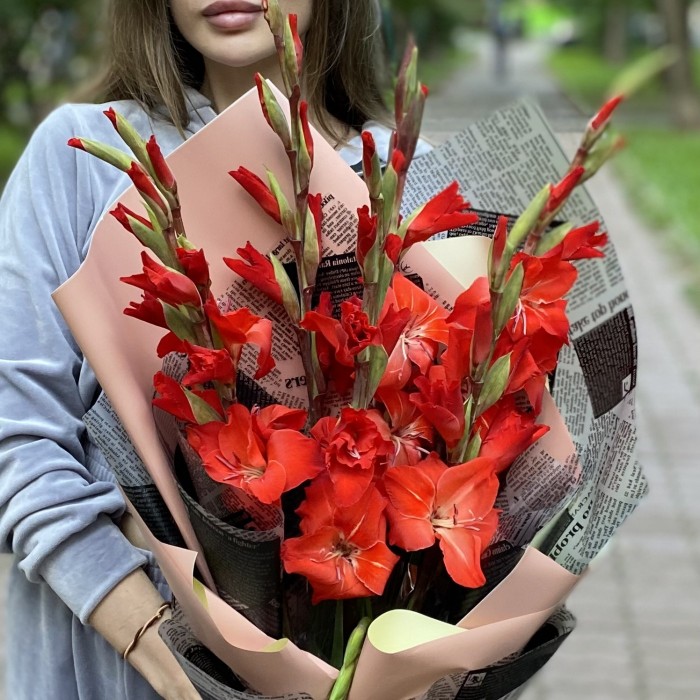 7 красных гладиолусов