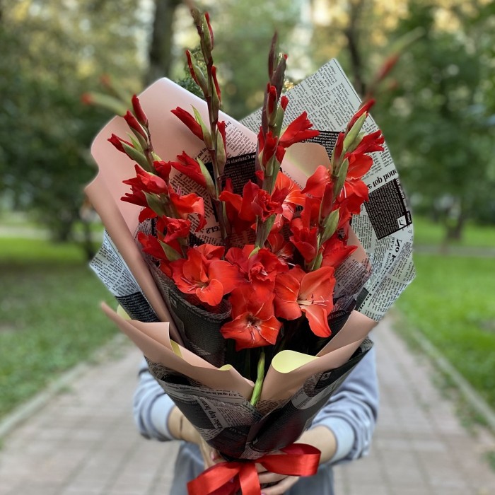 7 красных гладиолусов