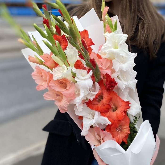 9 гладиолусов Яркий микс