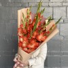 9 коралловых гладиолусов
