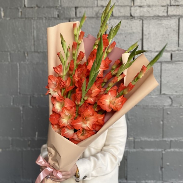 9 коралловых гладиолусов