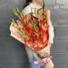 9 коралловых гладиолусов