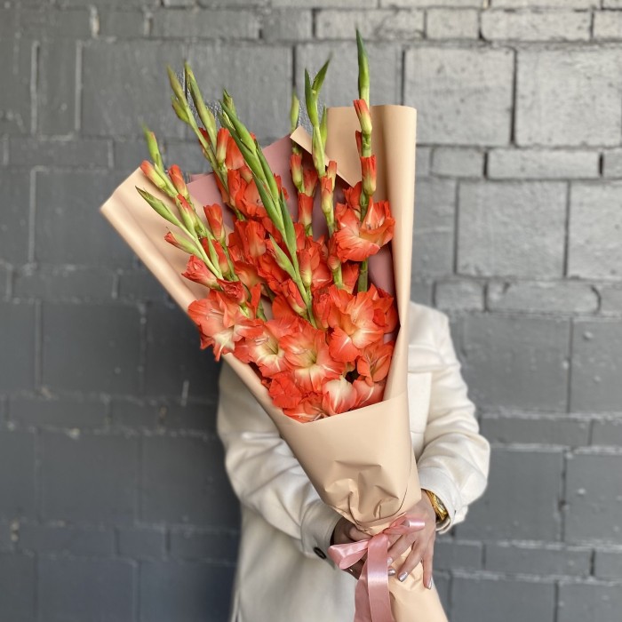 9 коралловых гладиолусов