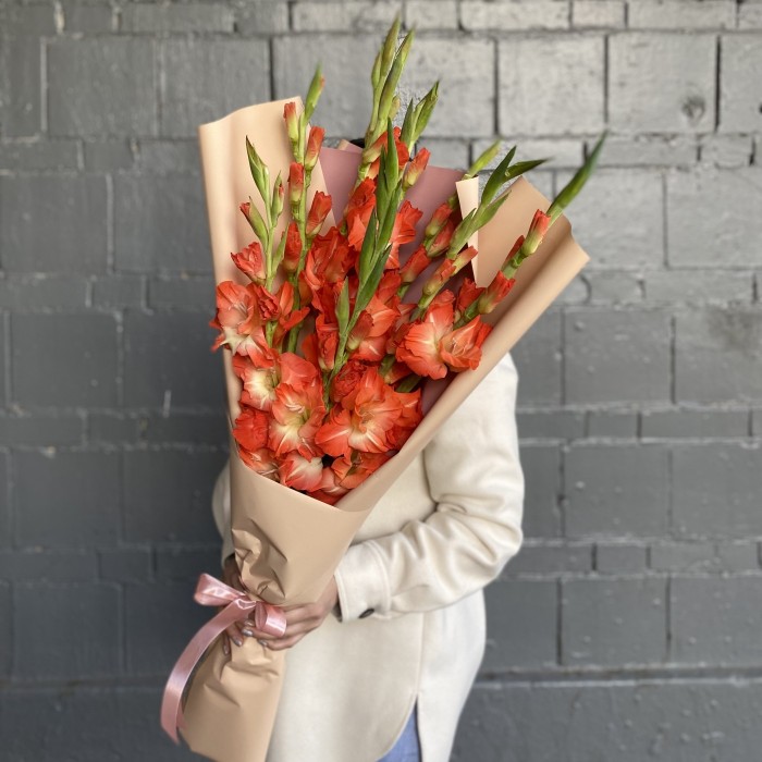 9 коралловых гладиолусов