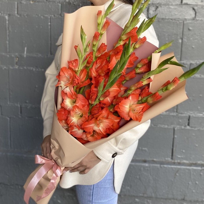 9 коралловых гладиолусов