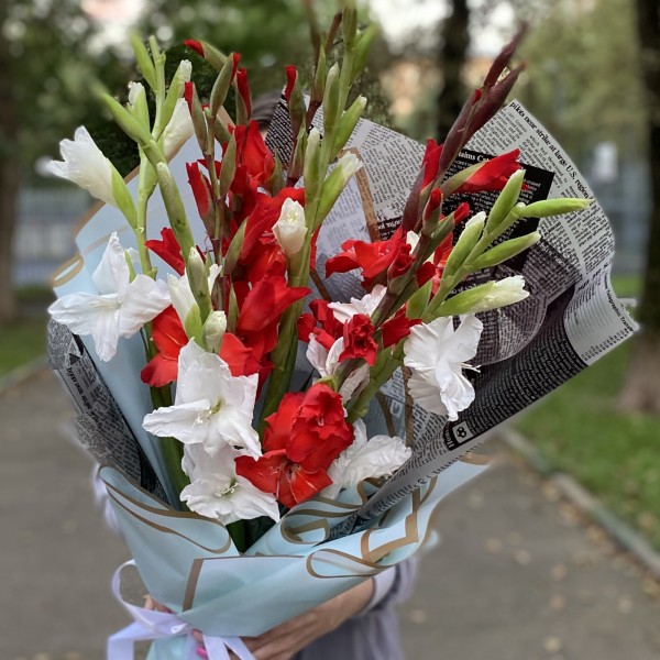 9 белых и красных гладиолусов