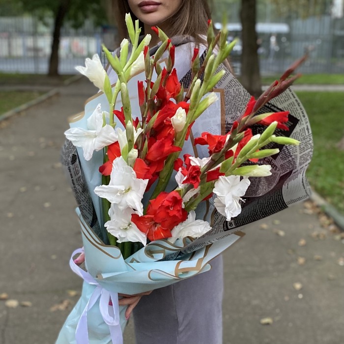9 белых и красных гладиолусов