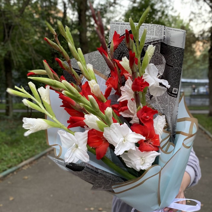 9 белых и красных гладиолусов