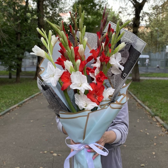 9 белых и красных гладиолусов